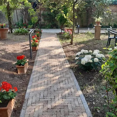 Magnolia Park ピサ