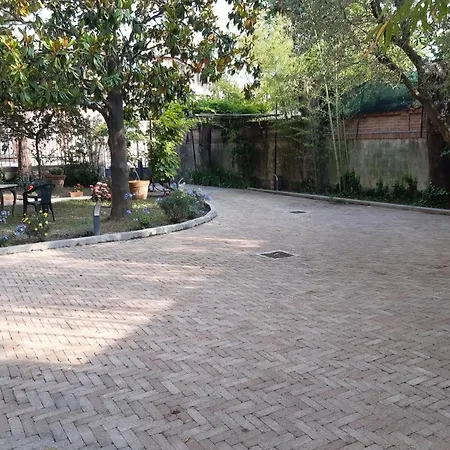 Magnolia Park Pisa